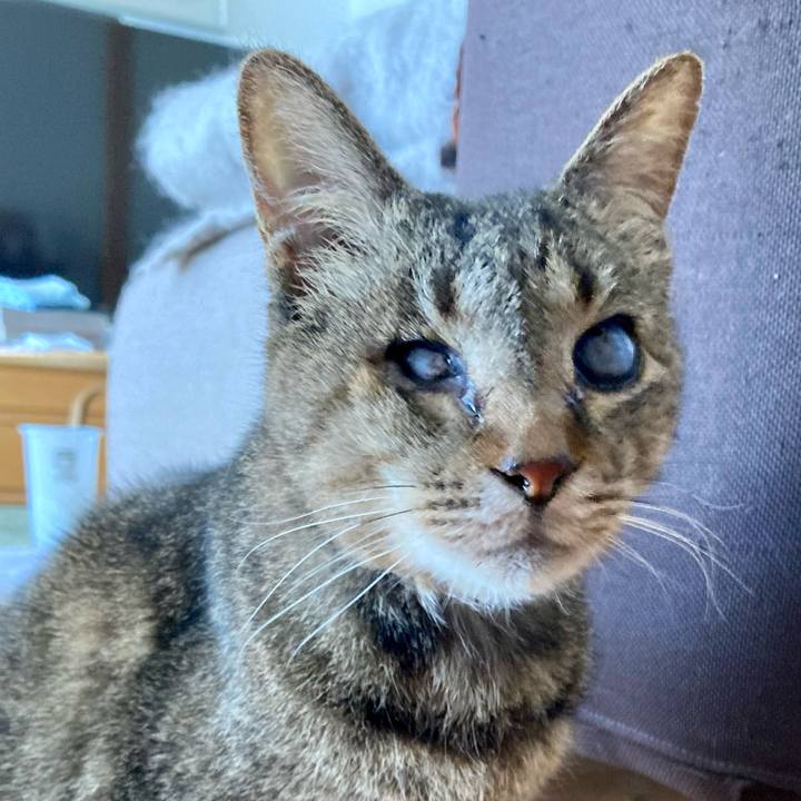 9a76f9a8 ad88 4e85 92d6 332d39c59b5b 1677552777584