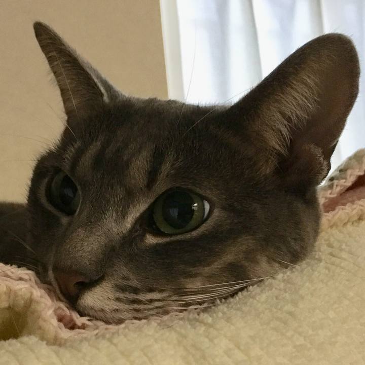 9a7721a6 8854 40d9 bd0c 62ec7c49b4ae 1542404324671