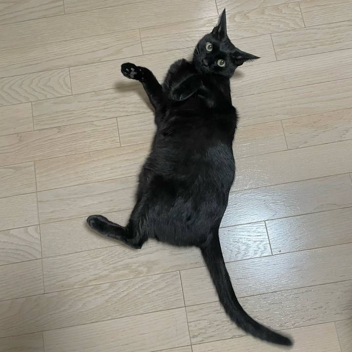 9a772916 73ba 4802 816a 4b8fe9a4527f 1724242700320