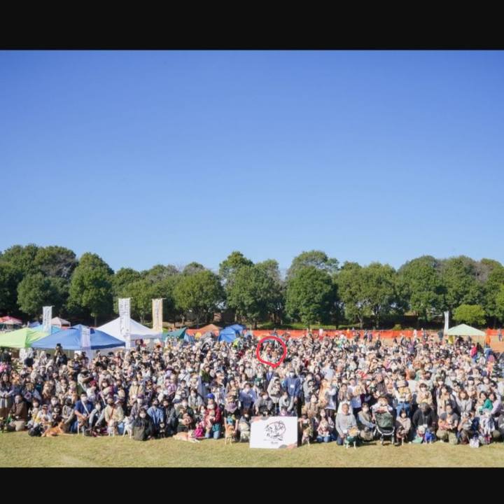 9a772924 b5ff 464e 9a7a cf7f8d958d4a 1667911782536