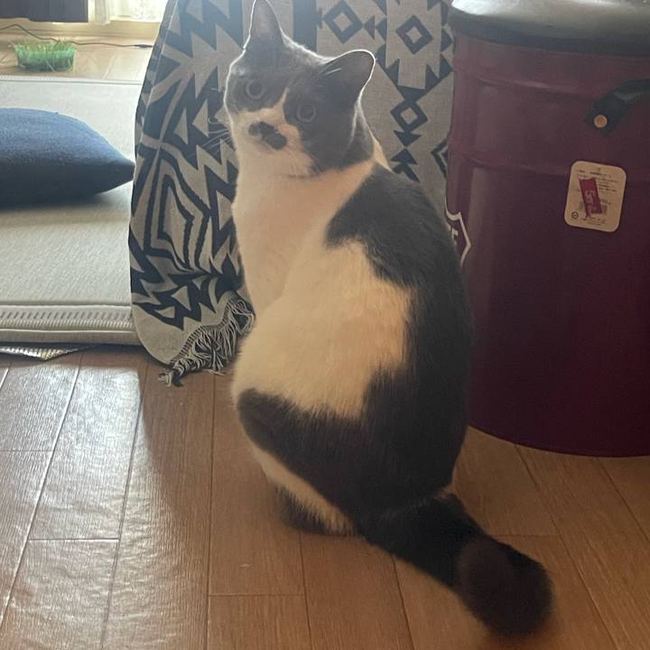 9a773ceb 44c4 405c b7a1 86f179153541 1753323559647