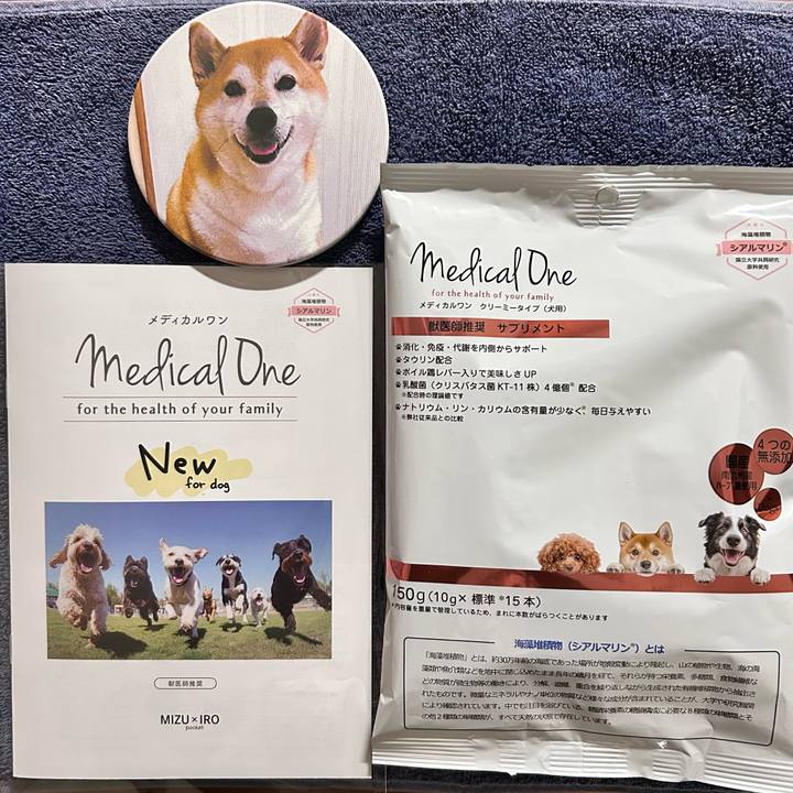 9a774af5 867e 4f68 ba05 e033785e39e4 1766736383031