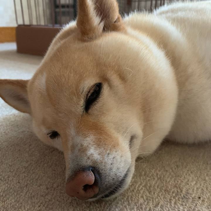 9a775fdf 4434 4ccd a041 47c5b79310ed 1627015634617