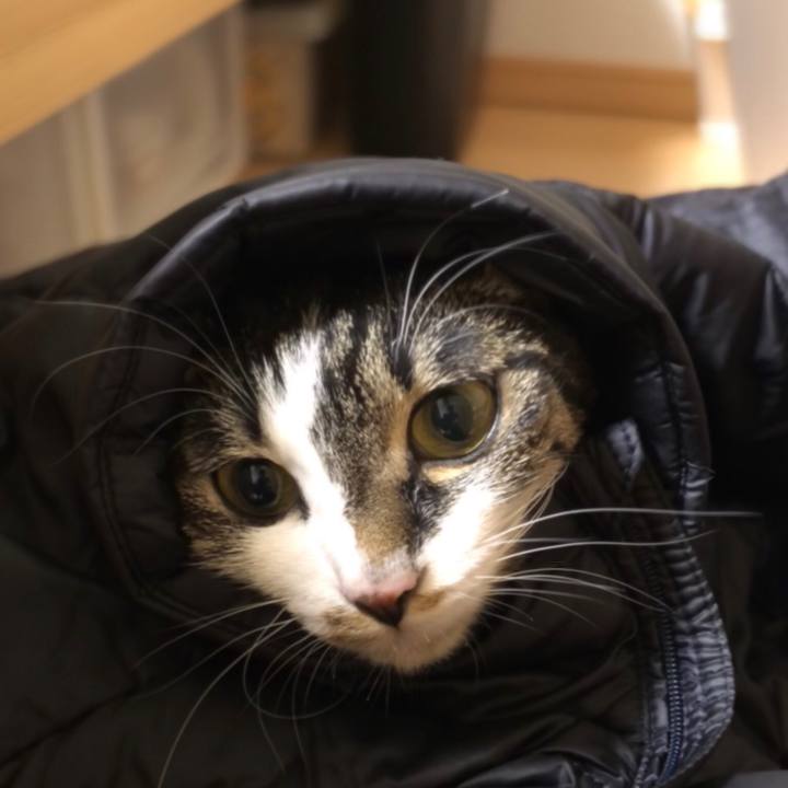 9a777ba6 c546 4637 9395 0b968d2b4edf 1514557415349