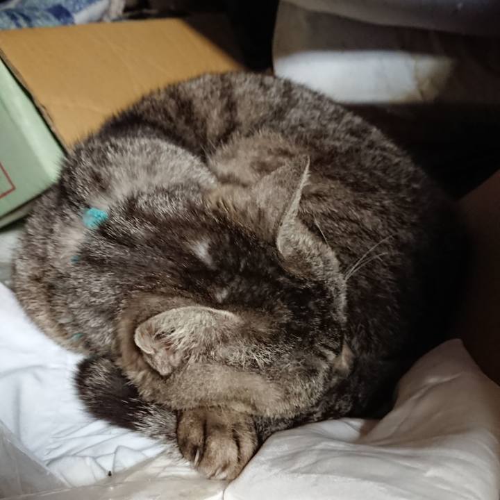 9a779282 8dc8 4f6e 9daf a240773cbd47 1560286571413