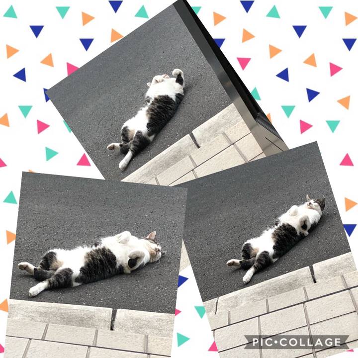 9a779679 24b0 4169 af50 33c1257e29f2 1570540892313