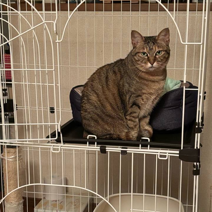 9a77ce18 b8c1 41bb 8c38 5100c905e25f 1713600301665