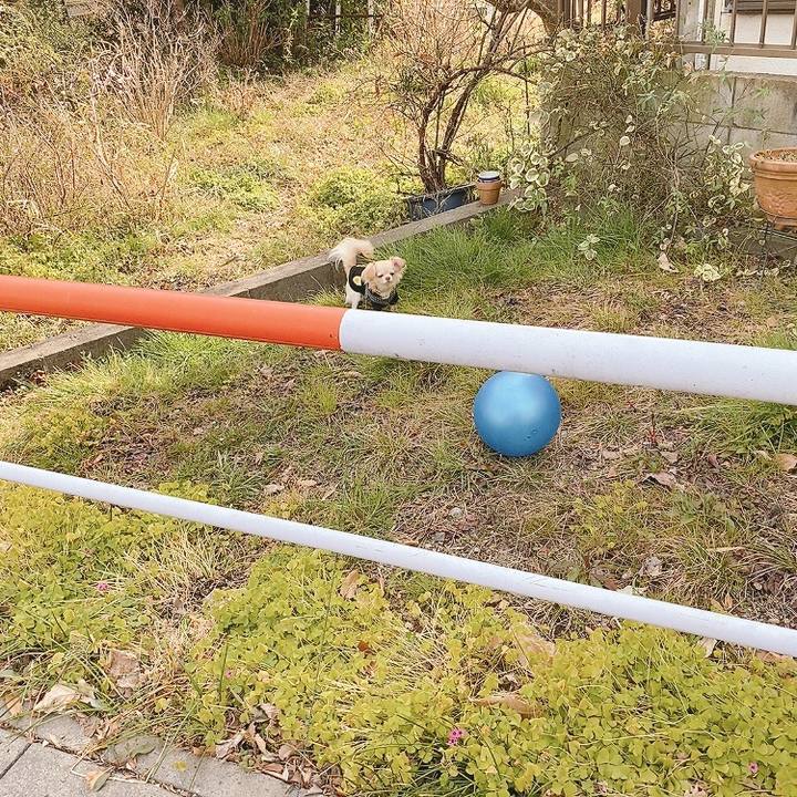 9a77cead d590 4e14 b034 682aa21e7213 1614580994344