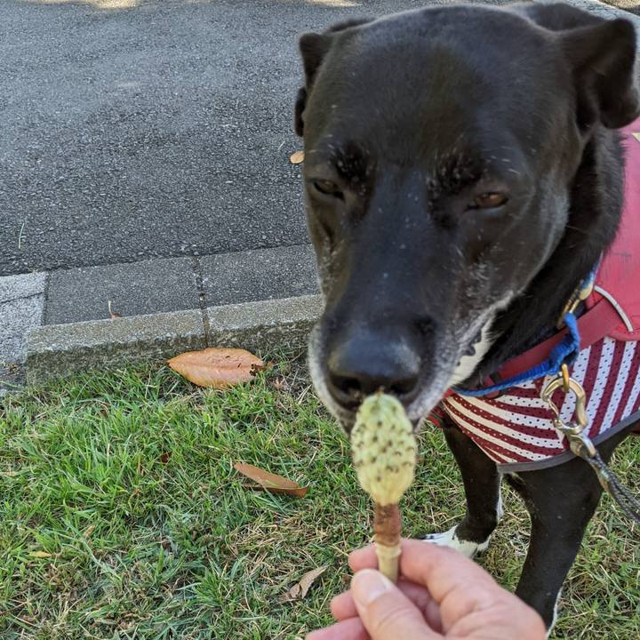 9a77f21b ec59 45a6 917d 65821bbae938 1690242289577