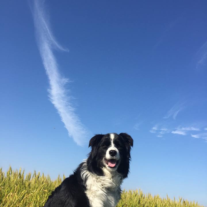 9a77f887 a76d 44ca b102 05aeafd5b2bb 1588893712363