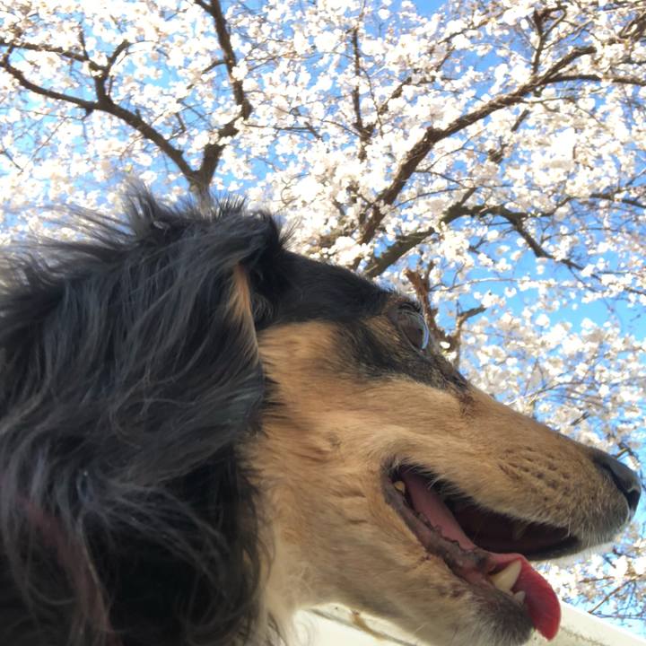 9a781114 f1bc 4e77 bf8c 3e0bb2a16313 1554076717019