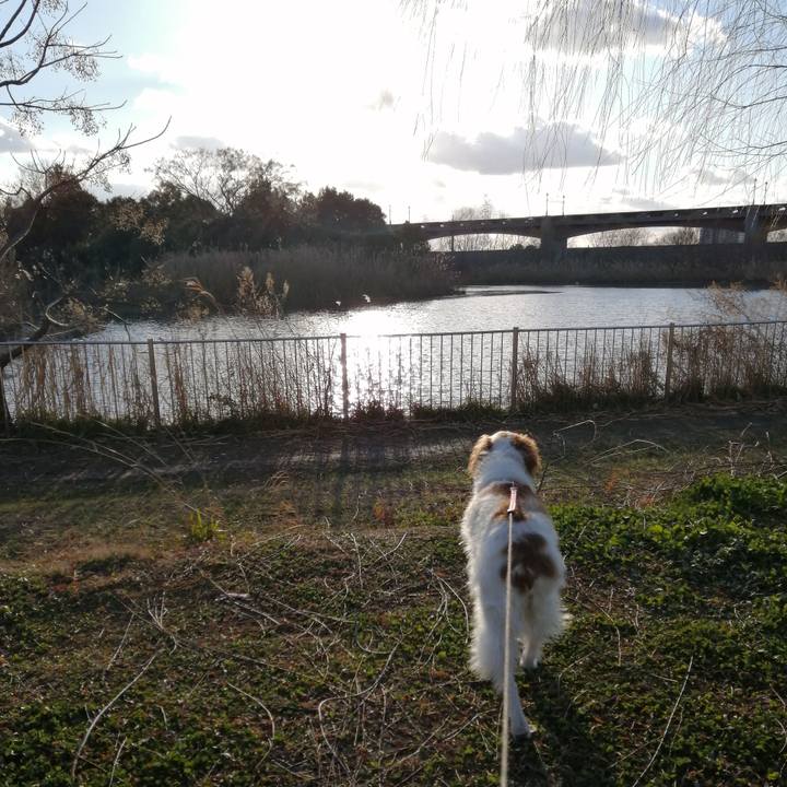 9a78170d 57c4 4548 8a2d 8a4b426ce249 1610180144580