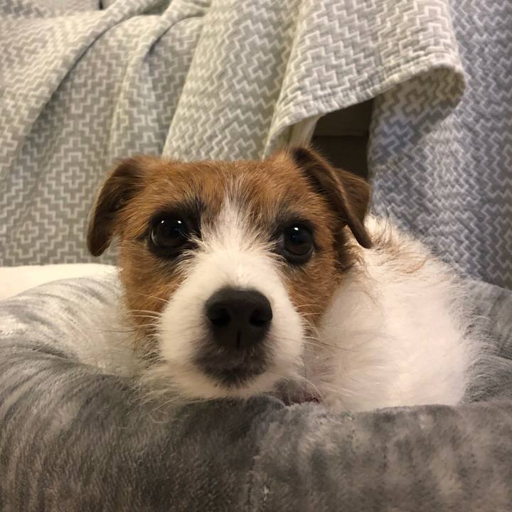 9a7837d3 46b5 48f9 8696 f73686727edb 1610541459041