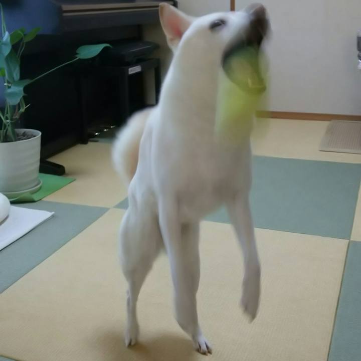 9a784686 bde9 4321 b337 7c8b927066fb 1568860554589