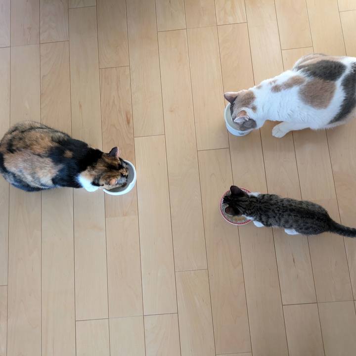 9a786f5b 82ce 4b9e 870e ecf536de6d1b 1722161305920