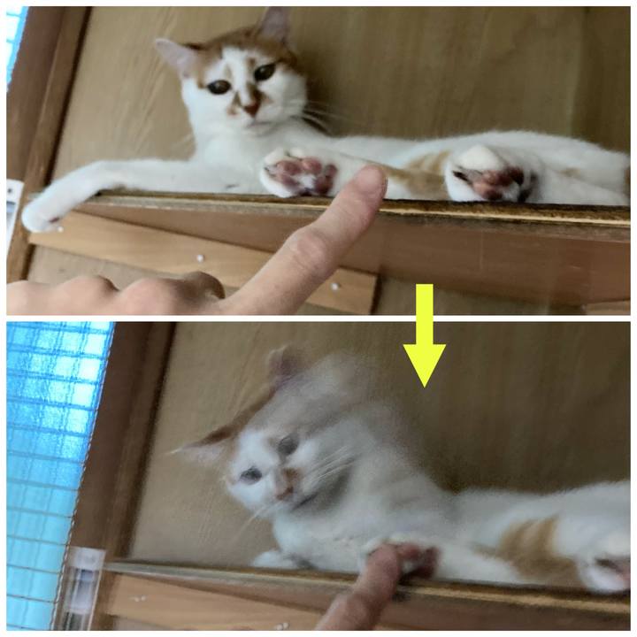 9a78ab12 11d8 4eda 9d9a f4190cc1acfb 1627000156647