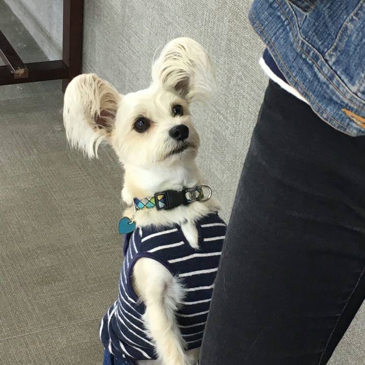 9a78e78a 4a20 44af ad76 e6b6b17b39e1 1508231953463