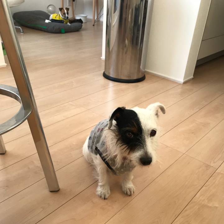 9a78ebeb fe0c 4e09 8767 5be8ea916336 1510297219033