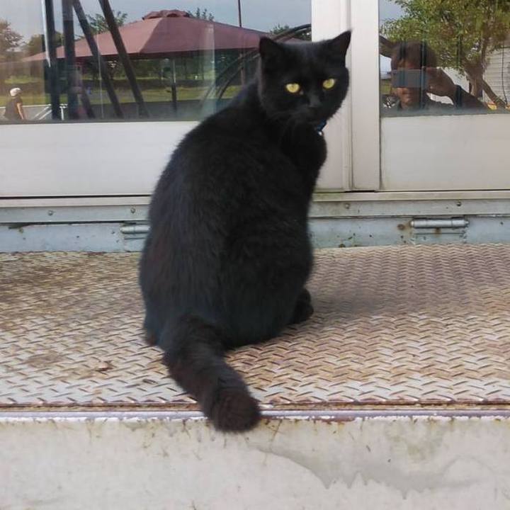 9a78f81b f17f 4eb6 845c 70a10d492e36 1602546374150