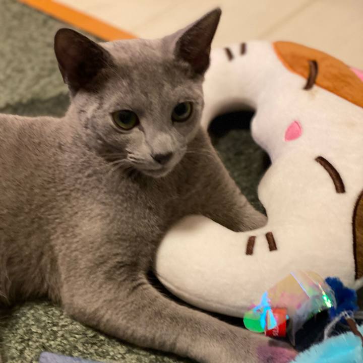 9a792ba2 9bee 4e9d 9f5f 1a81fcf7be53 1610696118331