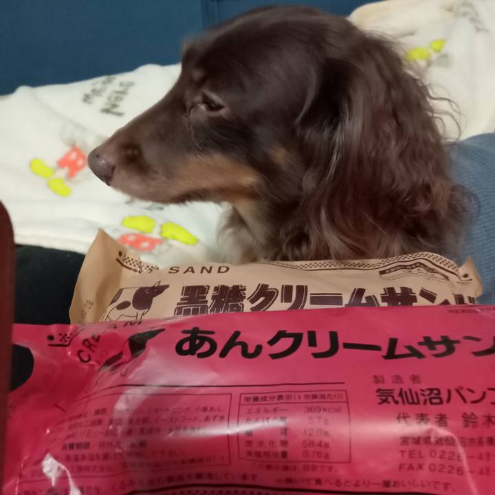 9a79384d cbad 480a 9f9a c94acc82fa38 1761774726846