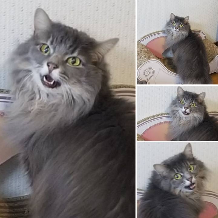 9a7a0780 e939 475f b837 8ad509ee3dae 1587629079234