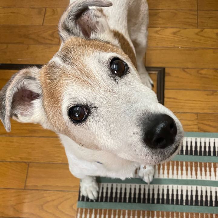 9a7a6cf2 076d 4944 ae1f 3c6cabe08cc9 1617755600821