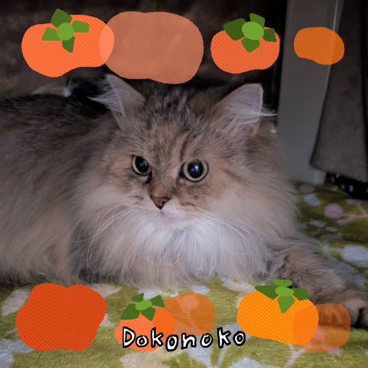 9a7a8ba3 49f6 4967 9bf1 e40b5d6c1ff7 1763163015174