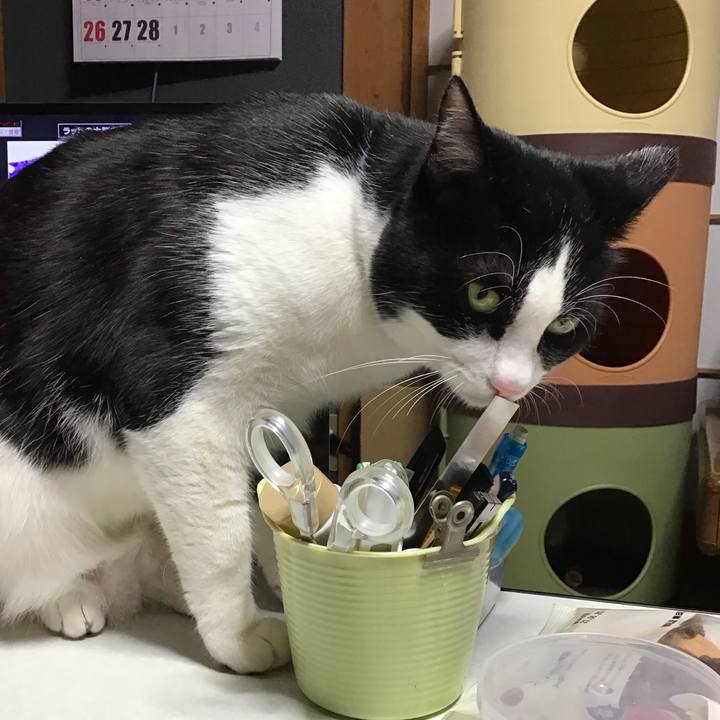 9a7af0ad bc97 425f b6a1 c5721659cfd0 1676382797808