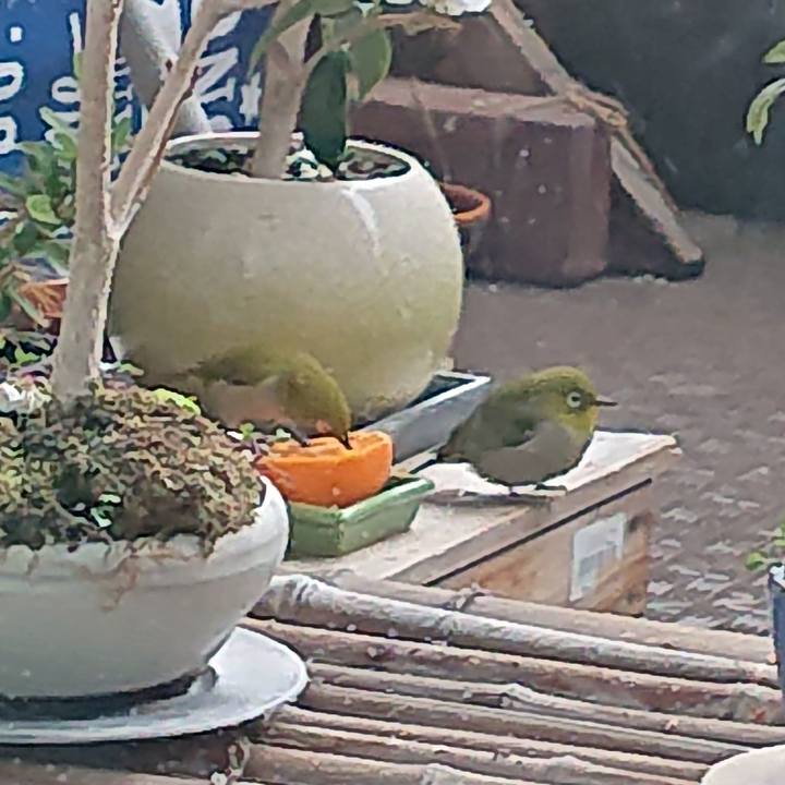 9a7b047f 0a0c 4615 9cd4 fc192e2240ea 1613698698354