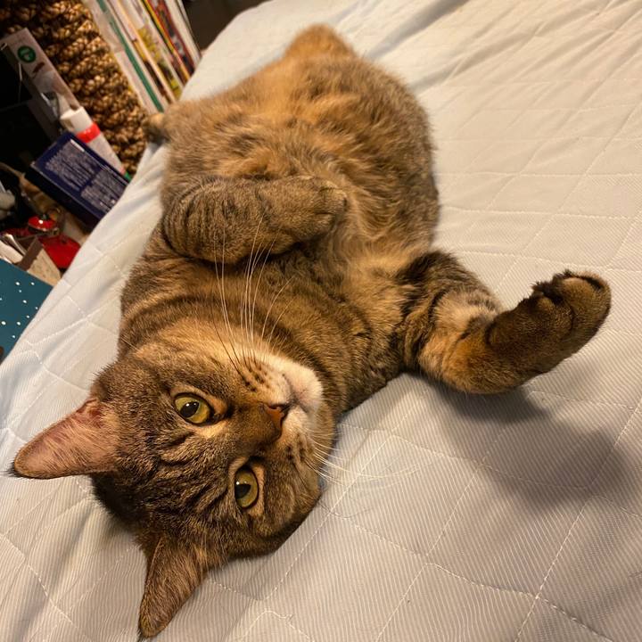 9a7b0ecf fc26 462a a87c fa9dfe710c31 1658578265382