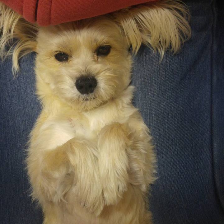 9a7b1c53 be36 457f a372 3a0d88b4dd3c 1515847180374