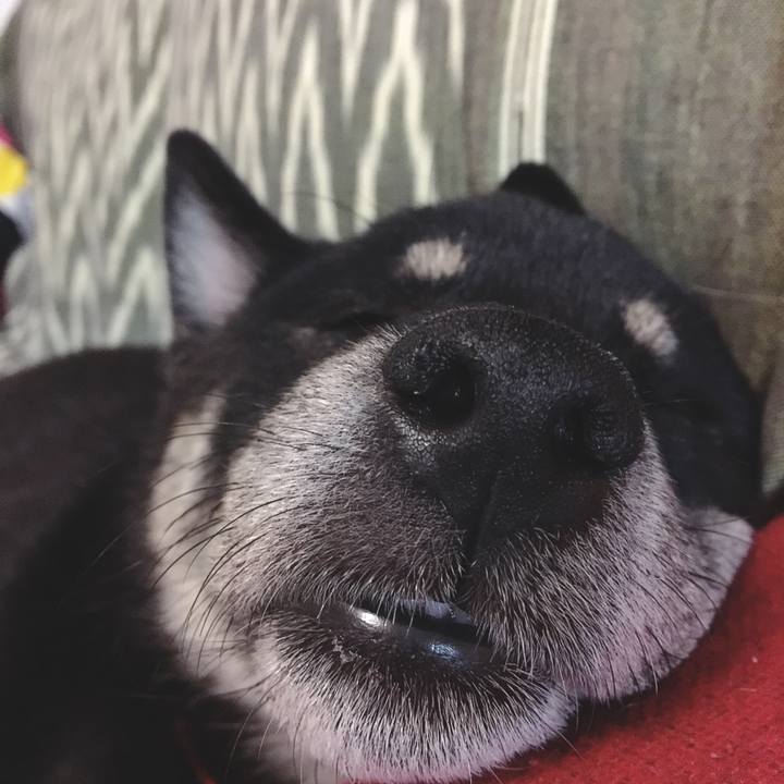 9a7b27ec 5fa2 42c3 9277 309d0d7c8212 1565099617169