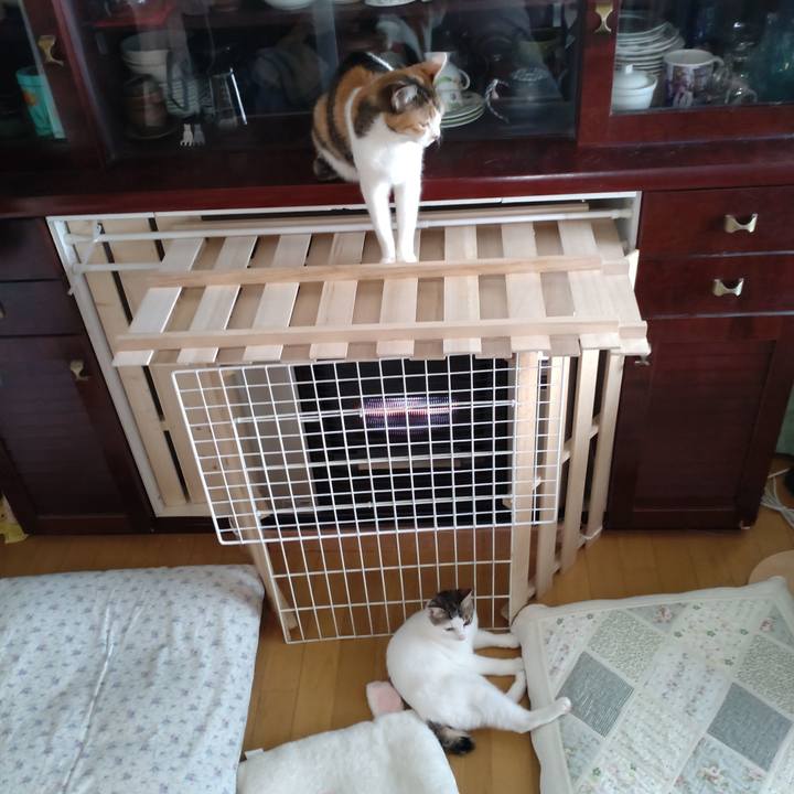 9a7b37f2 4773 4585 94d2 e33dbef79011 1640834989845