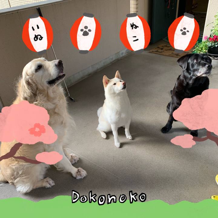 9a7b50f4 ec97 4087 ac92 08953ccf8cb5 1712317684652