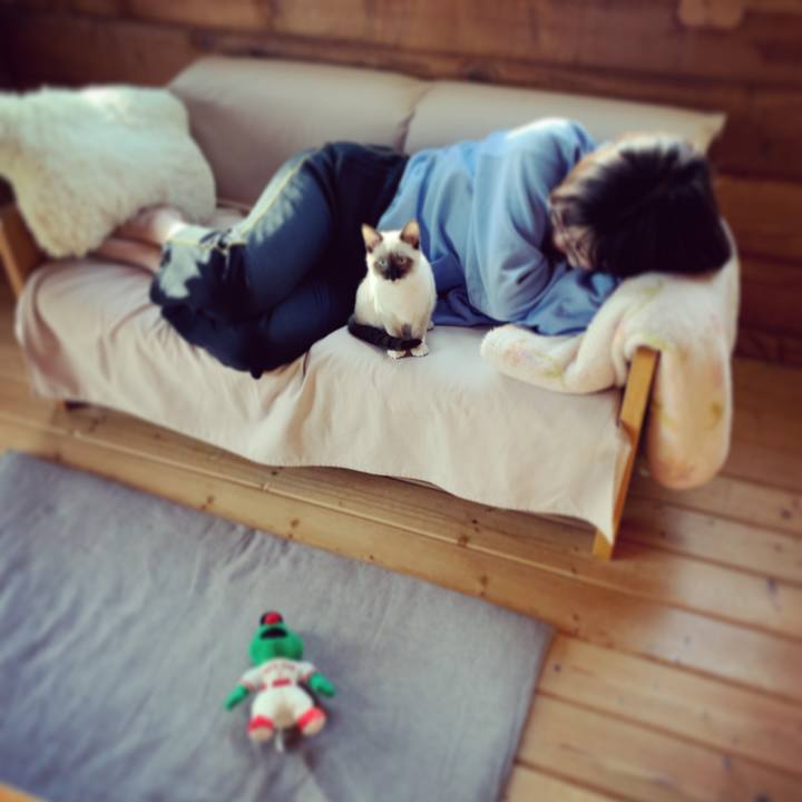 9a7b86f5 49d7 45dc a505 83c1fb67c327 1668721726744