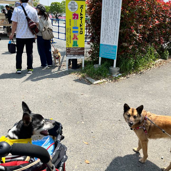 9a7bc16a 90f1 4bc3 a0a5 48709de99ed8 1650703836827