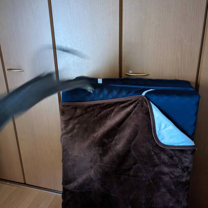 9a7be6be 8aea 4d57 9b25 a71466a56f68 1701502755317