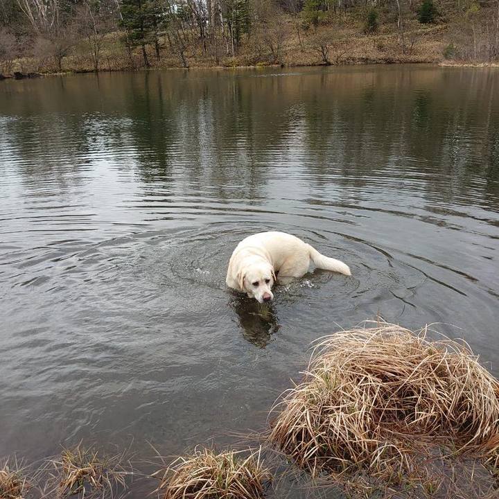 9a7c0e69 6cf2 4c8e b795 fc56504c256e 1746931012817