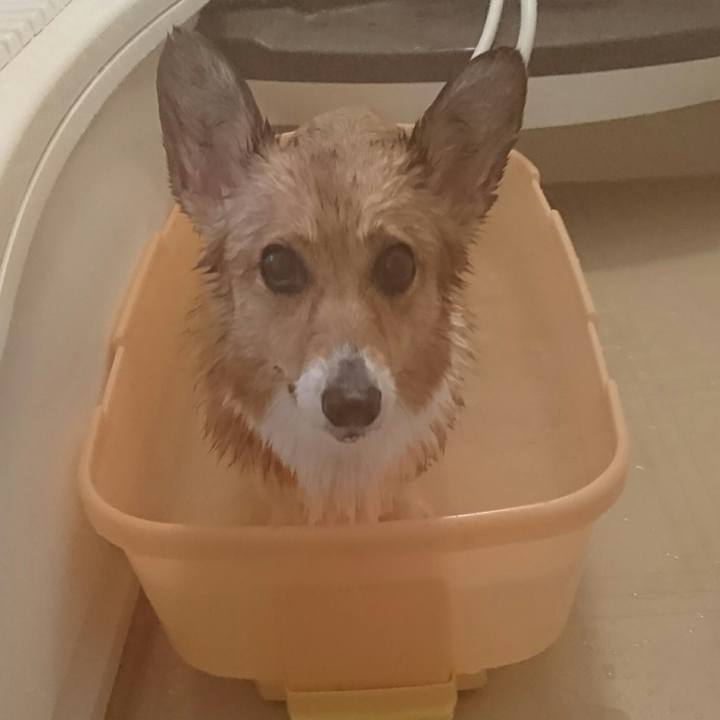 9a7c2343 3f45 4376 9d15 a7c4d4bc4570 1551608043854