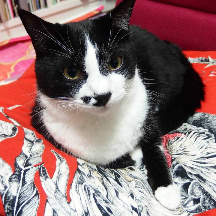 9a7c691f 1099 405d 8bfb 6e93225ab6a7 1529584640042