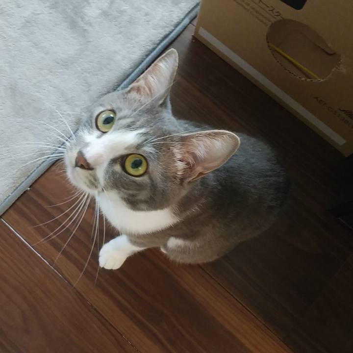 9a7c8b7c a030 4c71 aeba fb7e2f2279b3 1592089770137