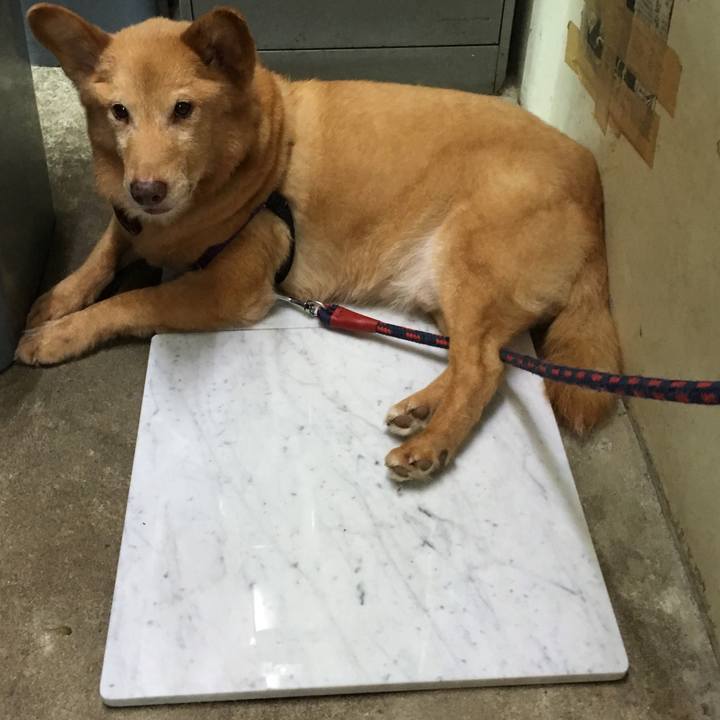 9a7c9590 e15d 4096 8890 1c74e88cdec1 1531914344795