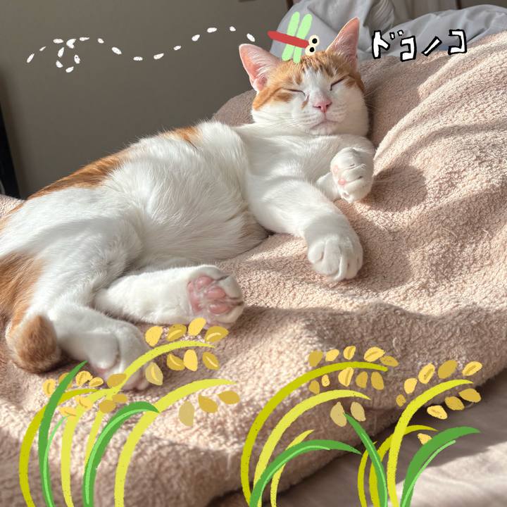 9a7cb166 1931 4928 bd59 9385f0b4ec17 1762922756206