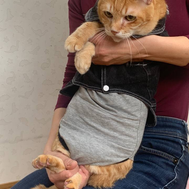 9a7ccc42 2fa5 4a51 8457 5385812071fa 1644043802325