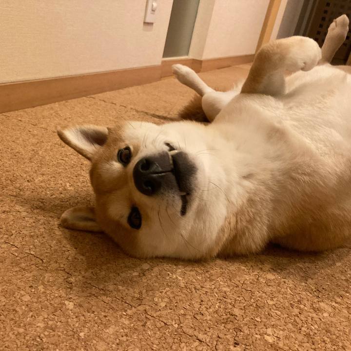 9a7d1ca8 65ce 40d1 ad08 03758b6fa65d 1705674190644