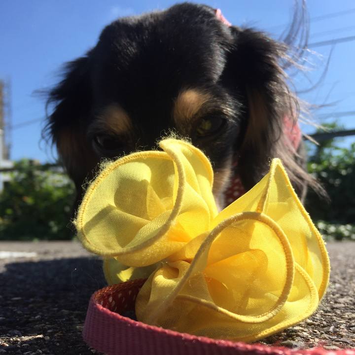 9a7d2635 cc5a 4d99 975f 0d9230553558 1539059882669