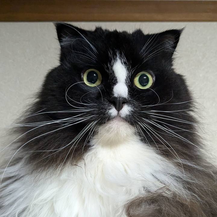 9a7d3927 797e 4fe8 82ca 0cca8177dfb9 1730540017300