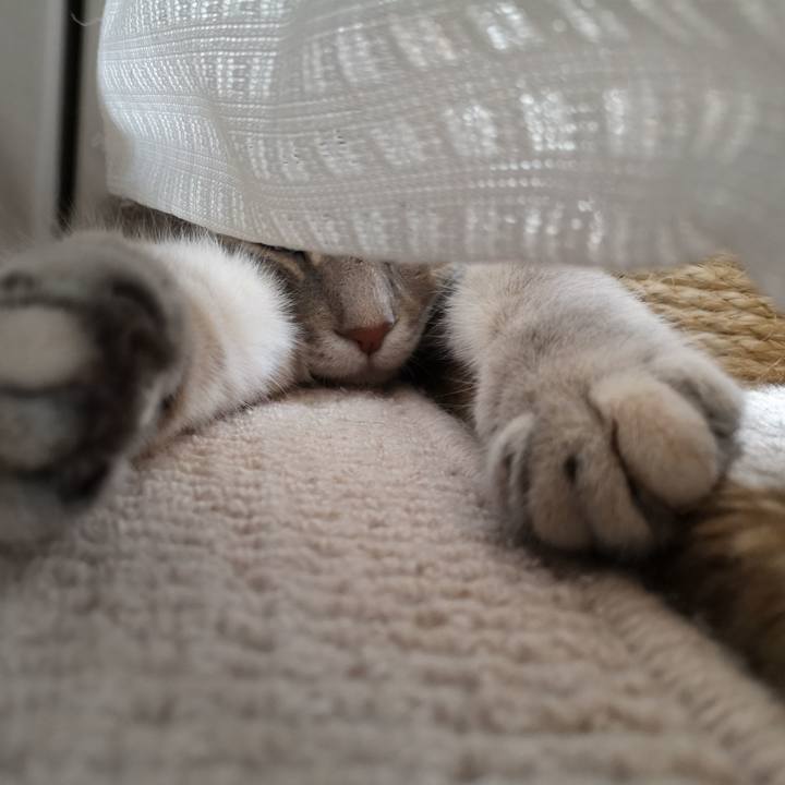 9a7d43a9 c20c 4b26 93e2 2deb6c6140c5 1561856352924