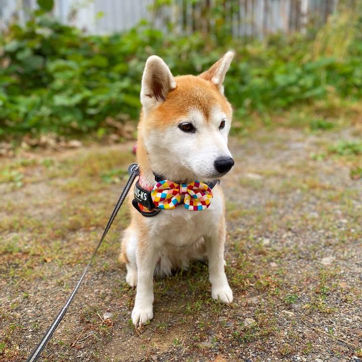 9a7d473e 2355 4083 8f96 3e084bc6ce73 1663550269310